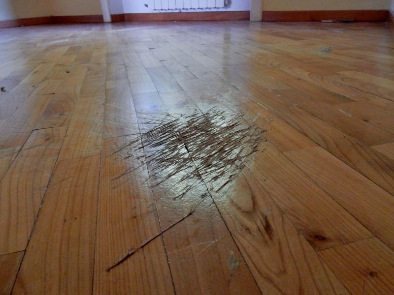 Who Does Squeaky Wood Floor Repairs