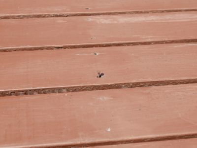 Squeaky Floors Can be Caused by Loose Nails or Screws